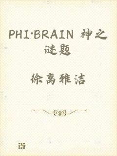 PHI·BRAIN 神之谜题